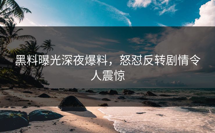 黑料曝光深夜爆料，怒怼反转剧情令人震惊