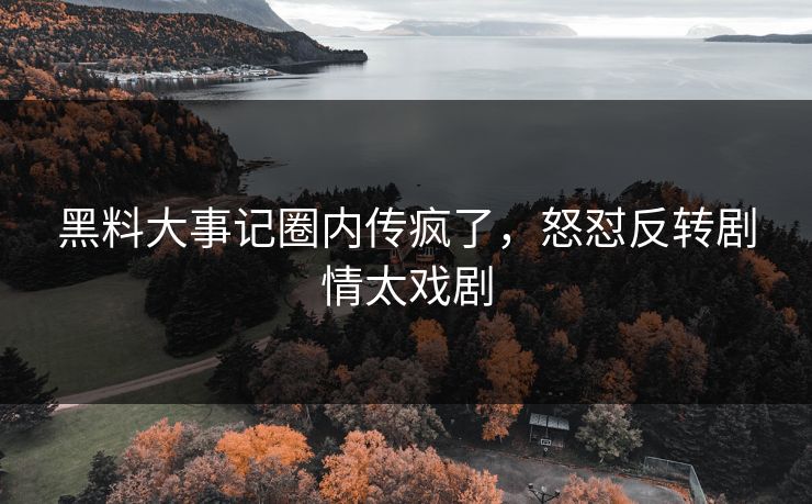 黑料大事记圈内传疯了，怒怼反转剧情太戏剧