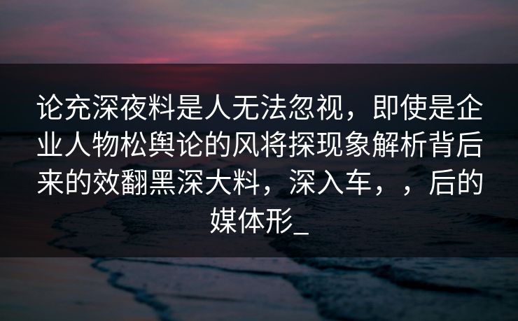 论充深夜料是人无法忽视，即使是企业人物松舆论的风将探现象解析背后来的效翻黑深大料，深入车，，后的媒体形_