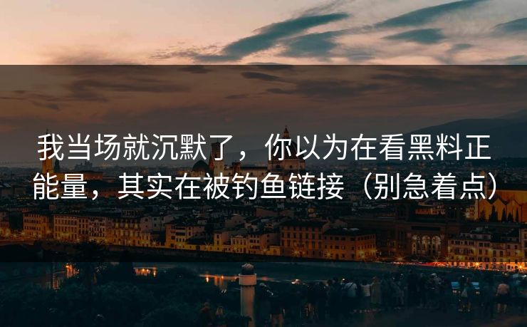 我当场就沉默了，你以为在看黑料正能量，其实在被钓鱼链接（别急着点）